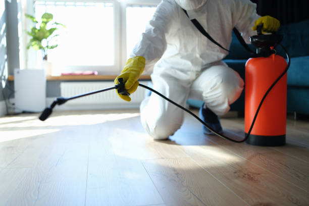 Reliable Sewage Cleanup contractor in Sidney, MI by Trauma Clean Pros